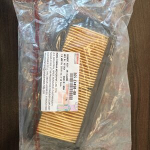 Air Filter for Yamaha FZS V2 & V3